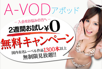 A-VODアボッドアダルトビデオ・オン・デマンド